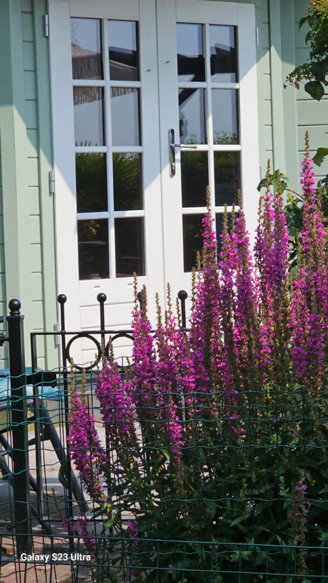Romantisch Huisje Julianadorp Exterior foto