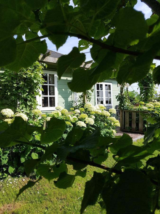 Romantisch Huisje Julianadorp Exterior foto